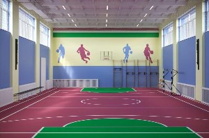 Дизайн спортивного зала в школе