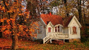 Дом осенью