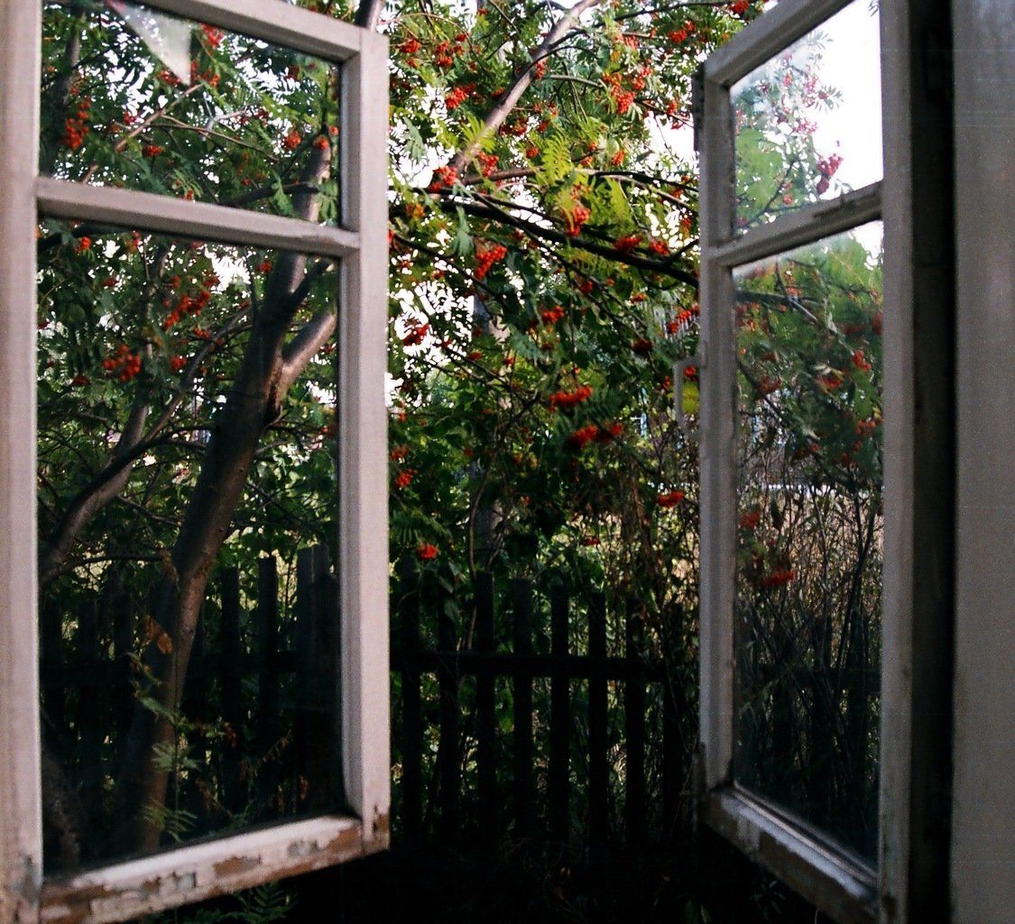 Из окна видна река. Вид из окна на сад. Открытое окно. Вид из окна на даче. Сад в окне.