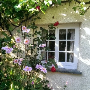 Дом окнами в сад
