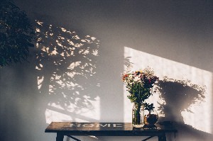 Тень от солнца на стене