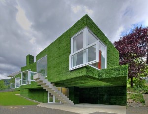 Зеленый фасад