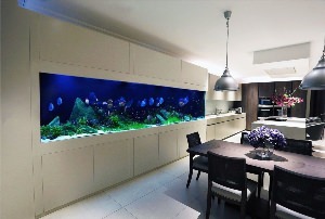 Кухня аквариум в стене