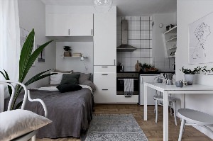Маленькая кухня со спальным местом