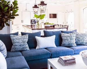 Синий диван в Светлом интерьере