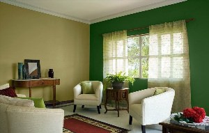 Интерьер комнаты с зелеными стенами