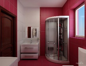 Дизайн туалета с душевой кабиной