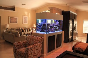Гостиная с аквариумом и камином