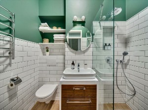 Дизайн ванных комнат без ванной